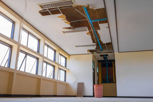 Best Local water damage restoration  in New Haven, MI