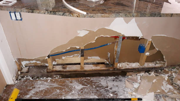 Best Sewage cleanup and water damage restoration  in New Haven, MI