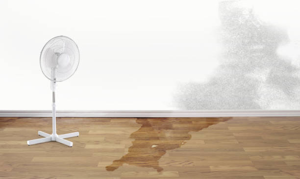 Best Commercial water damage restoration  in New Haven, MI