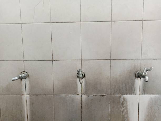 Best Water damage restoration near me  in New Haven, MI