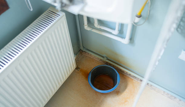 Best Fire Damage Restoration  in New Haven, MI