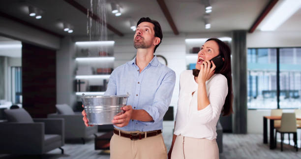 Best Flood restoration services  in New Haven, MI