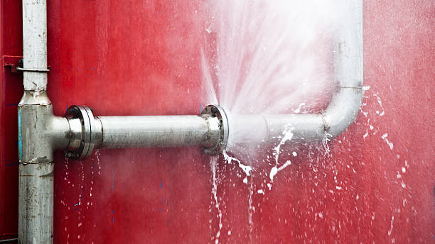 Best Professional water damage repair  in New Haven, MI