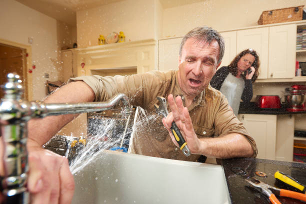 Best Water damage restoration process  in New Haven, MI